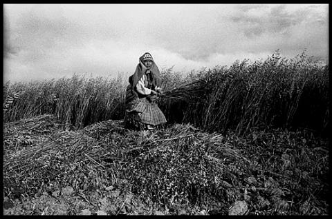 Warisata, alrededores del Titicaca,