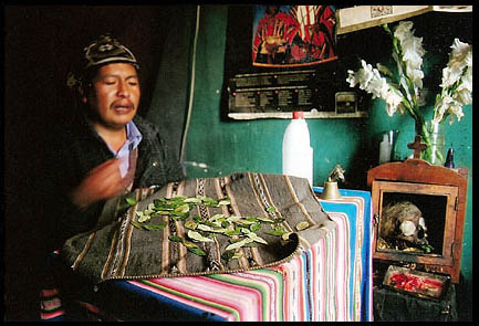 Maestro consejero, El Alto,  el altiplano y la ciudad se unen.