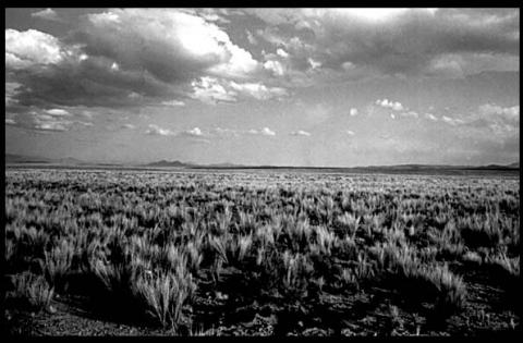 Id a parar el viento sobre la cordillera...