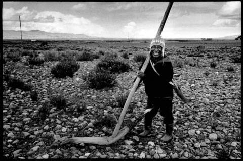 Altiplano, Warisata.