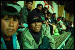 Lustras